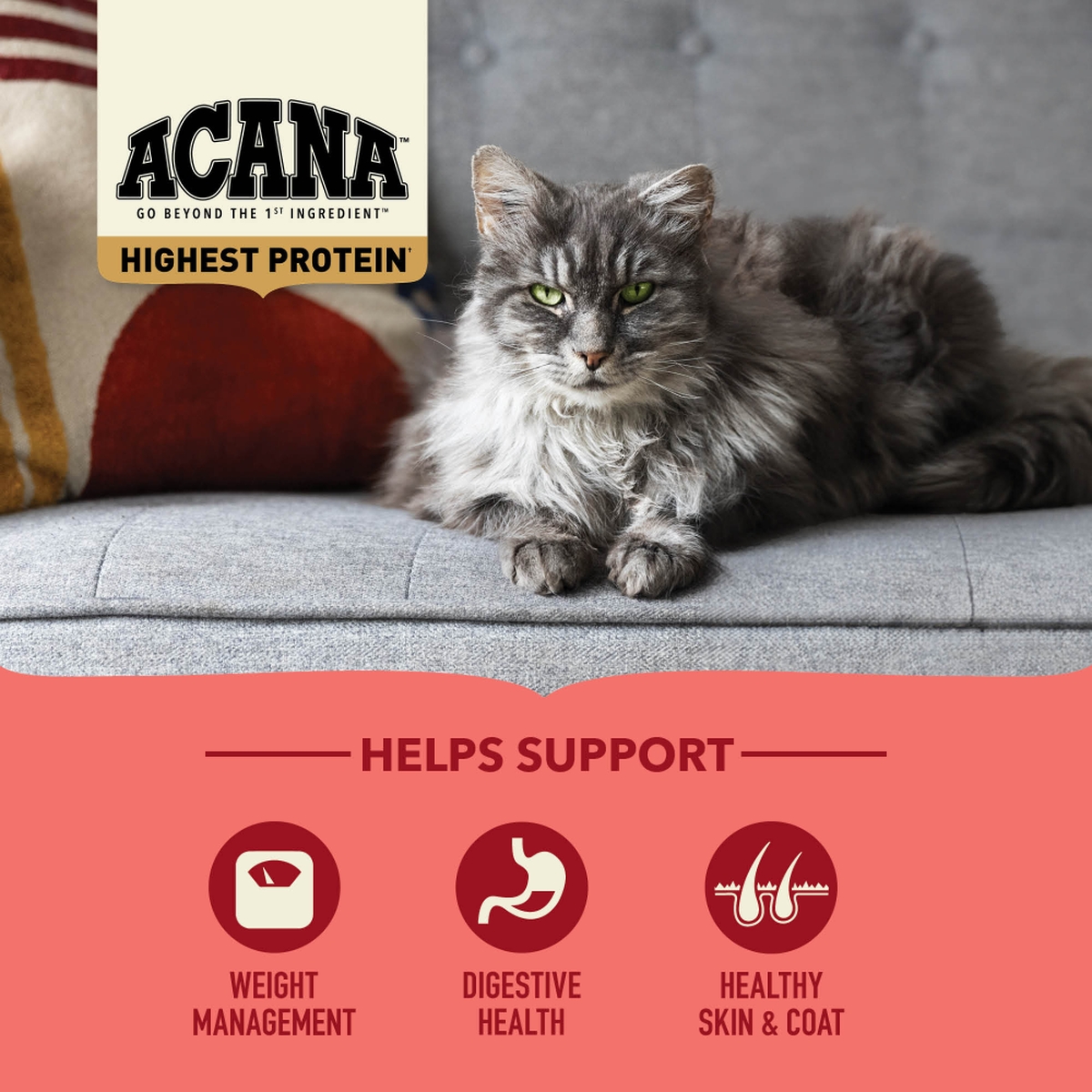 4lb Acana Highest Protein, Indoor Cat Grain Free Dry Cat Food | 918752CEI