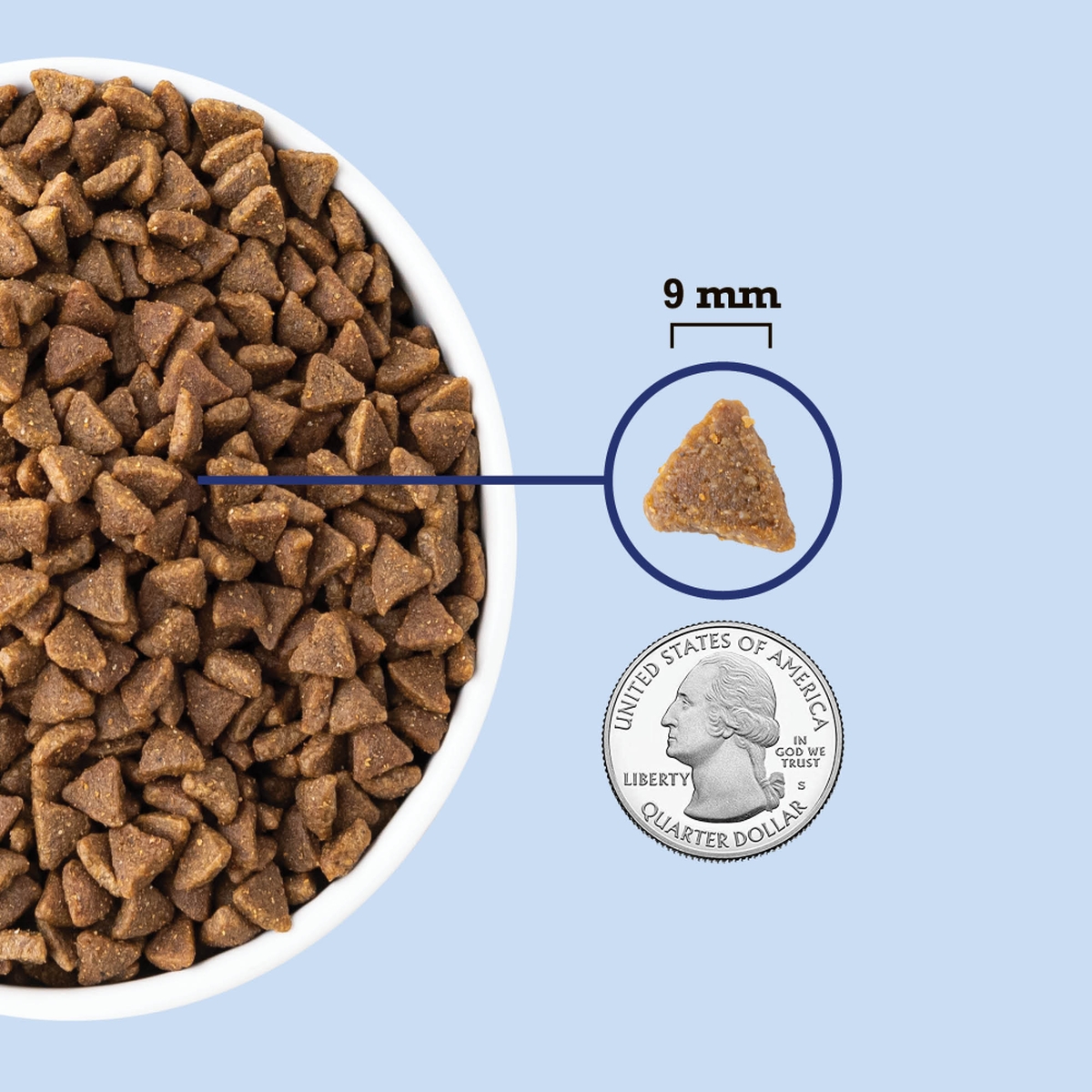 4lb Acana Indoor Entrée with Fish Grain Inclusive Dry Cat Food | 985167YVM